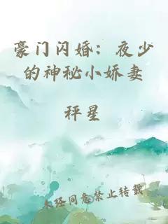 豪门闪婚:夜少的神秘小娇妻