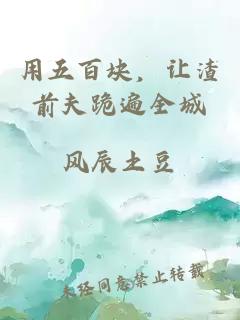 用五百块，让渣前夫跪遍全城