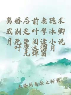 离婚后前妻跪求我别走叶擘沐卿月免费阅读小说无弹窗