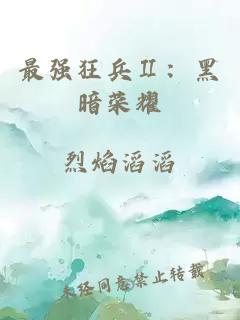 最强狂兵Ⅱ：黑暗荣耀