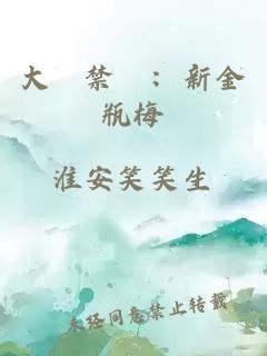 大陸禁書：新金瓶梅