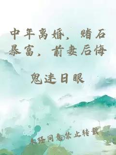 中年离婚，赌石暴富，前妻后悔