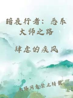 暗夜行者：恶系大师之路