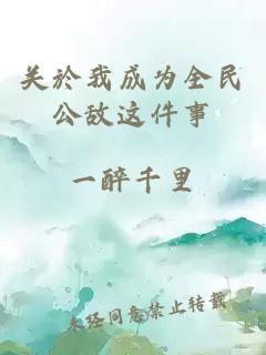 关於我成为全民公敌这件事