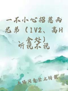 一不小心招惹两兄弟(1V2、高H、全处)