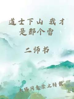 道士下山 我才是那个雷